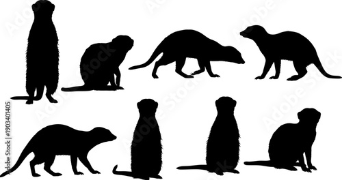 Evolution of primates silhouette various primate silhouettes in different poses