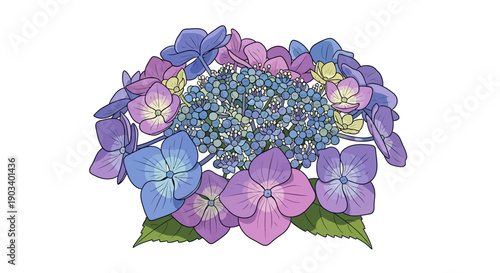 Red hot poker flower isolated on white background