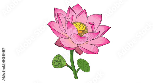 Pink bleeding heart flowers hanging from a branch