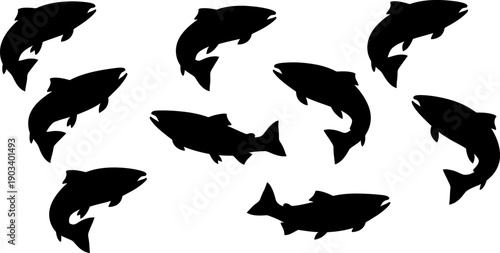 Silhouette of multiple dolphins swimming together in various directions