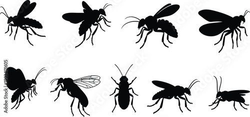 Silhouette of various insects including flies and beetles in different poses
