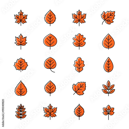 Collection of various orange autumn leaves.