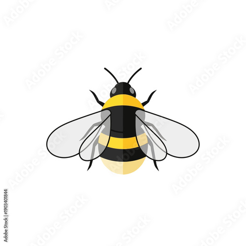 Detailed illustration of a honey bee.