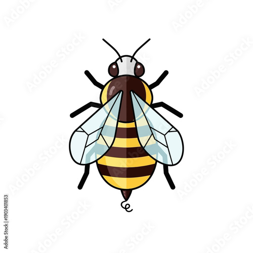 Detailed illustration of a honey bee 2.