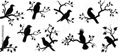 Bird silhouette collection illustration, perched avian wildlife on tree branches set isolated, decorative nature animal icons for design concept