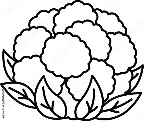 A simple line drawing of a cauliflower with leaves