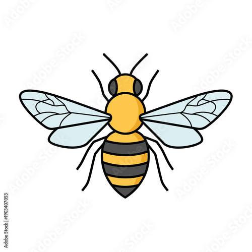 Colorful illustration of a honey bee.