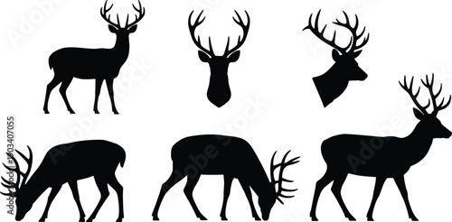 Deer silhouettes showing stag head profile and full body grazing poses, wild forest animal collection, nature wildlife concept, flat vector illustration