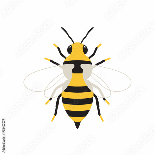 Detailed illustration of a bee insect.