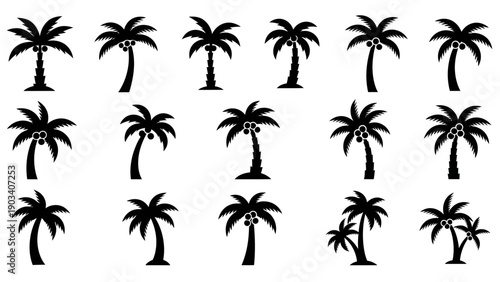 Multiple black palm tree silhouettes standing.
