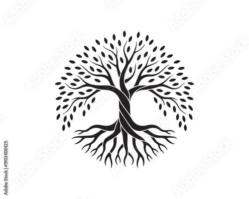 A powerful symmetrical black silhouette illustrates a tree of life symbol with intertwined trunk, branches, and roots