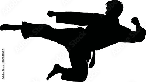 Black silhouette of a martial artist in mid-air performing a powerful kick