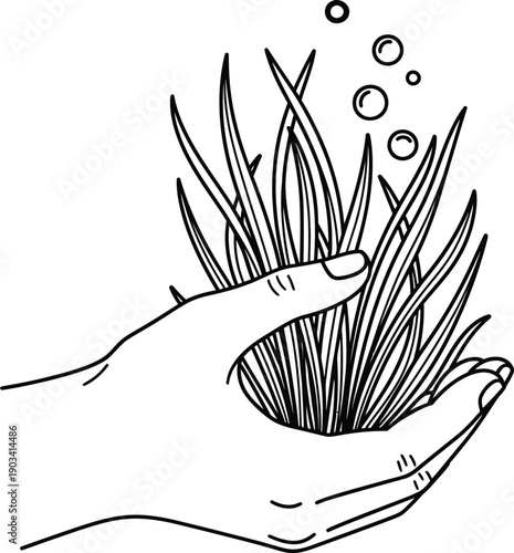 Hand holding aquatic sea grass plant with bubbles vector illustration. Black and white line art of human hand protecting underwater seaweed or seagrass for marine ecology design.