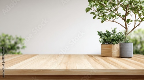 Wooden table surface with potted plants and green leaves