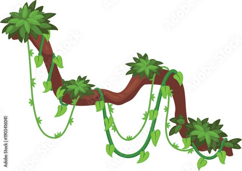 Rainforest tree with hanging creepers. Exotic jungle greenery