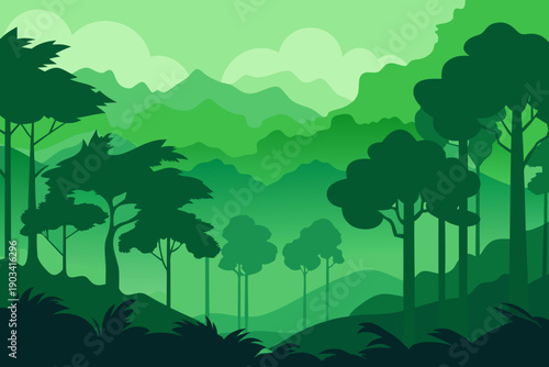 Dense Rainforest Trees in Atmospheric Fog 