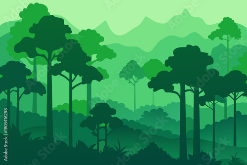 Dense Rainforest Trees in Atmospheric Fog 