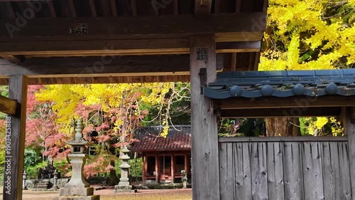 西巌殿寺のイチョウ