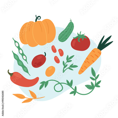 Natural vegetables farm. Farming activity, autumn harvesting season flat vector illustration