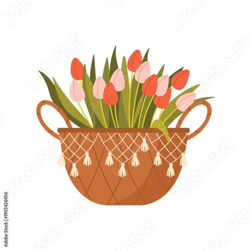 Basket with tulips flowers. Flower market, florist shop, flower bouquets cartoon vector illustration