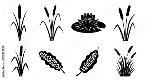 Set of black silhouettes of cattail, bulrush, and water lily plants, isolated on a white background.
