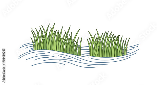 Green grass growing in water, a natural marshland or wetland environment illustration.