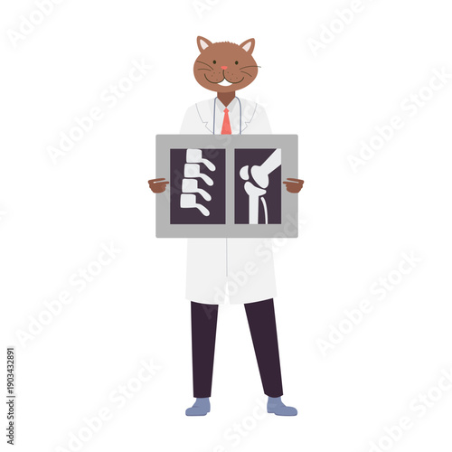 Standing doctor cat with xray photo. Hospital cat worker in white coat cartoon vector illustration