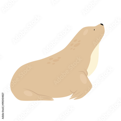 Arctic sea dog. Arctic and antarctic animals, snow fauna cartoon vector illustration