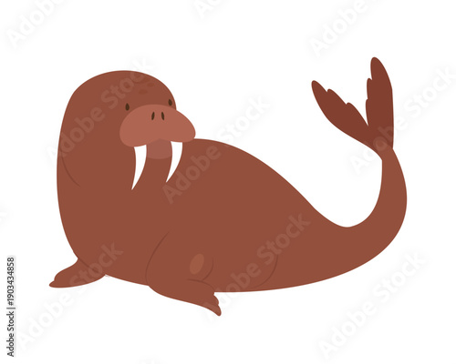 Arctic walrus animal. Arctic and antarctic animals, snow sea fauna cartoon vector illustration