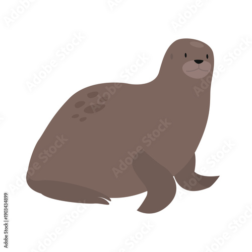 Arctic ocean seal. Arctic and antarctic animals, snow sea fauna cartoon vector illustration