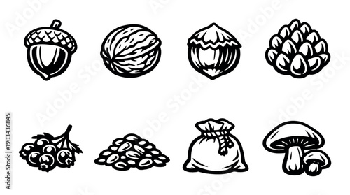 Collection of nuts, seeds, and mushrooms in black and white illustrations
