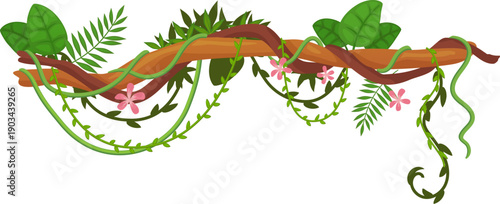 Rainforest tree lianas hanging. Exotic branch greenery