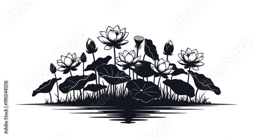 Black and white silhouette of lotus flowers and leaves on a pond, serene and elegant botanical illustration.