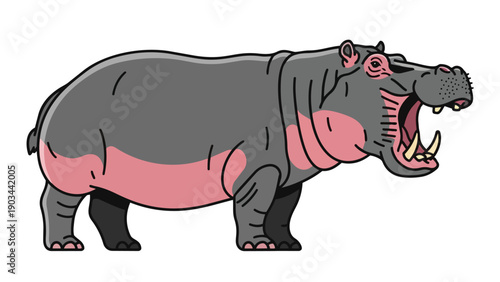 A striking and bold cartoon illustration of a large, grey hippopotamus standing firm, its massive mouth opened wide to display prominent,