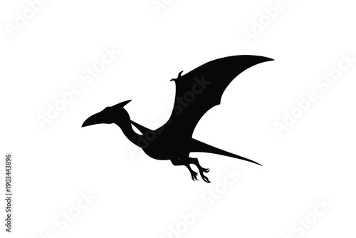 Pterodactyl dinosaur silhouette flying in sky prehistoric winged reptile isolated on white background icon