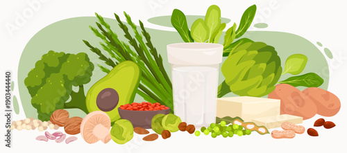 Assorted plant-based protein sources including tofu, legumes, nuts, avocado, broccoli, spinach, and soy milk arranged together for healthy vegetarian diet concept vector illustration