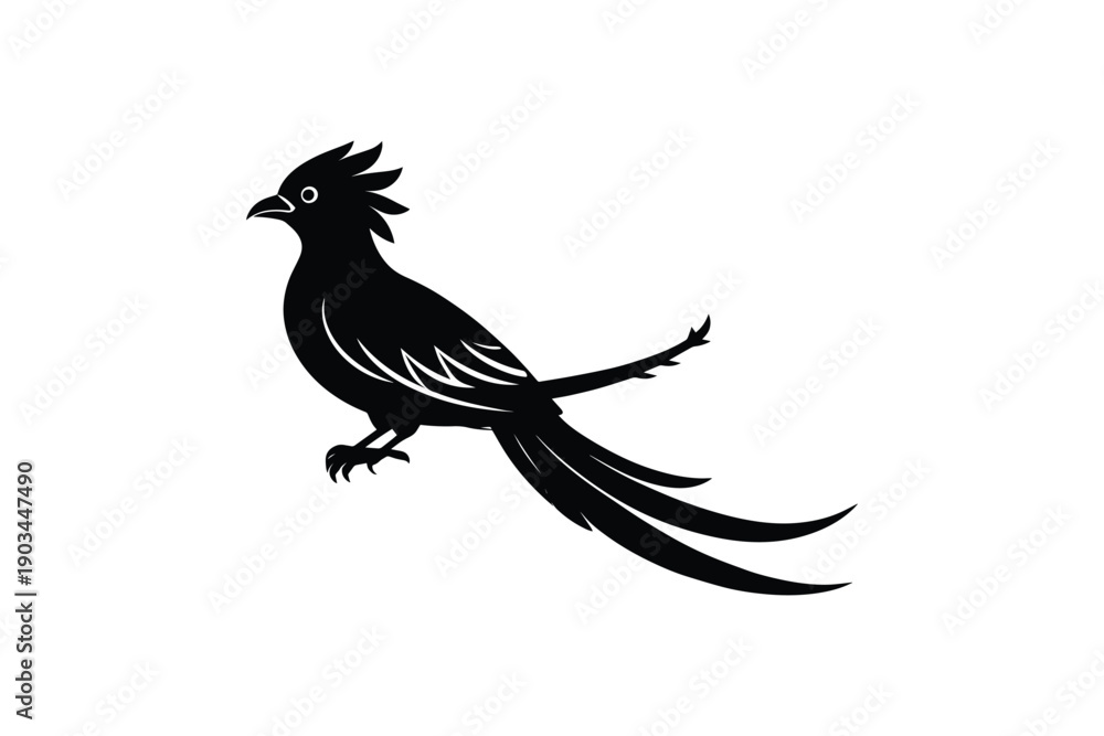 Fototapeta premium Black pheasant bird silhouette on white background, exotic bird, long tail, game bird, illustration