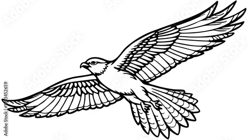 Very beautiful bird flying freely across open sky, wings spread wide, symbolizing freedom, hope, and limitless movement in nature.