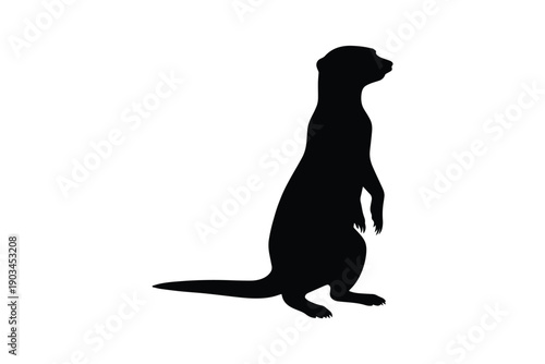 Black silhouette of meerkat standing on hind legs on white background