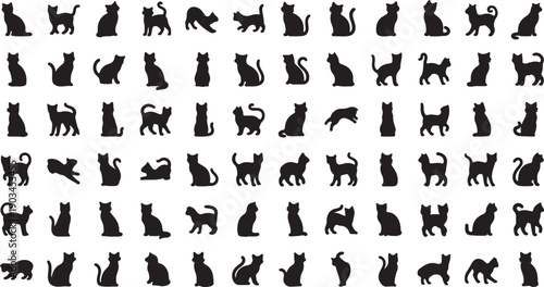 Silhouette Background Illustration Collection