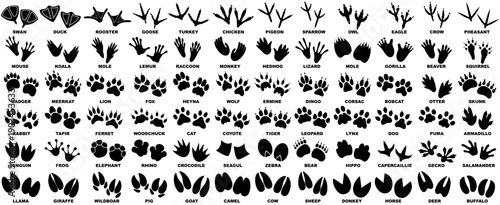set vector paw print silhouette icon collections. bird, wildlife foot icon symbol. Animals footprints sign design illustration