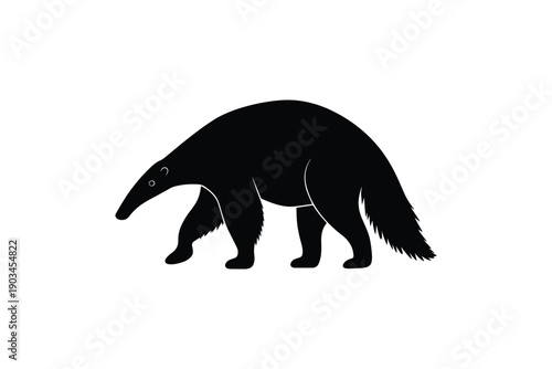 Black silhouette of a giant anteater walking on a white background