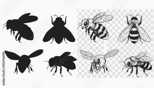 set of animals silhouettes