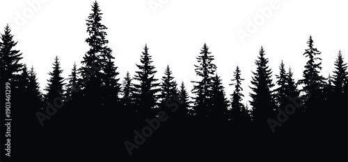 Pine forest silhouette landscape with dense evergreen trees forming natural skyline, wilderness nature background isolated on white for environmental, outdoor and scenic design use
