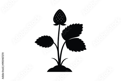 Black silhouette of strawberry plant with ripe berry and green leaves growing from soil on white background
