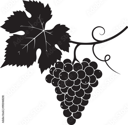 Black silhouette vector illustration of grape cluster and leaf on checkered background