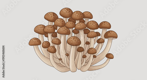 Top view of fresh brown shimeji mushrooms arranged as a cluster on a neutral background. Natural food ingredient image for cooking, recipes, nutrition, Asian cuisine, and healthy eating concepts