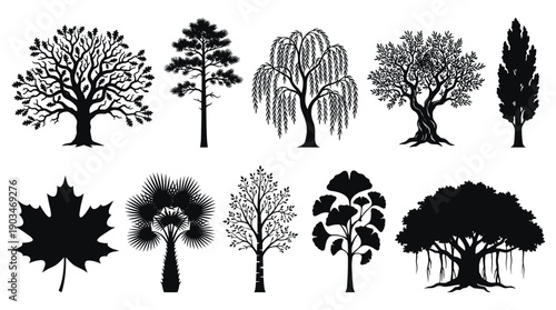 Collection of black tree silhouettes on white background