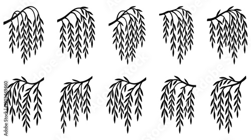 Black silhouette weeping willow branches with leaves