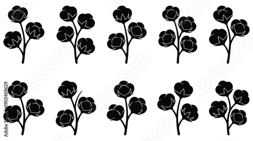 Black silhouette cotton branches on white background